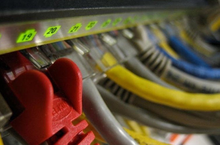 Latency ethernet cables colour