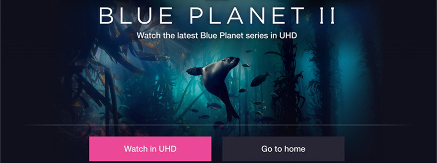 Blue Planet 2 gets 4K UHD iPlayer upgrade