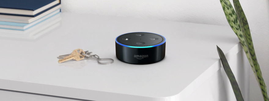 Amazon Echo cat food ad sparks online order complaints