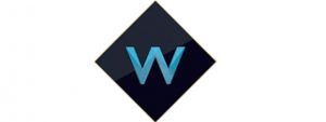 W logo