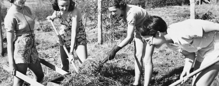 Digging for broadband: how one Welsh village declared war on slow internet.