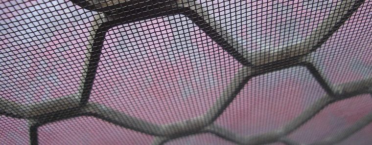 Explaining the concept of mesh WiFi