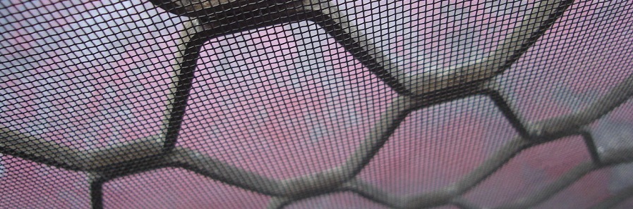 Explaining the concept of mesh WiFi