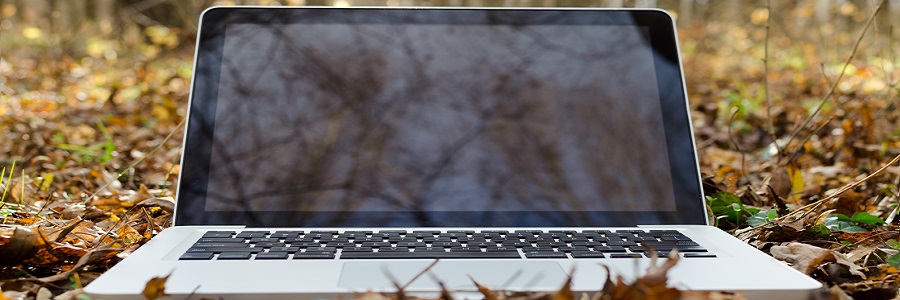 Should I buy a laptop or a tablet?