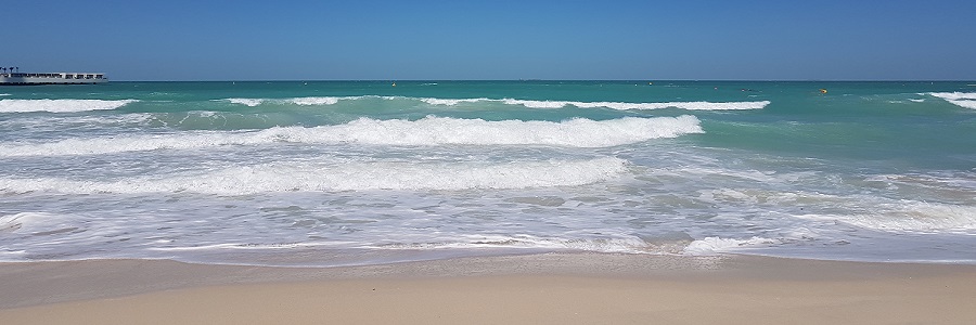 Will you get online on holiday?