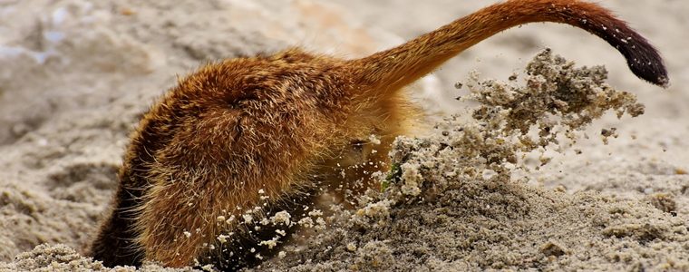 CityFibre bring full-fibre to 70,000 homes