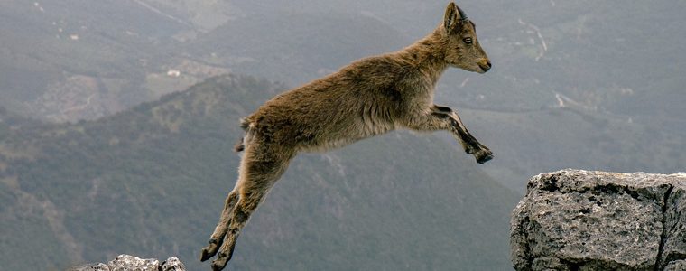 Plusnet price hike warning