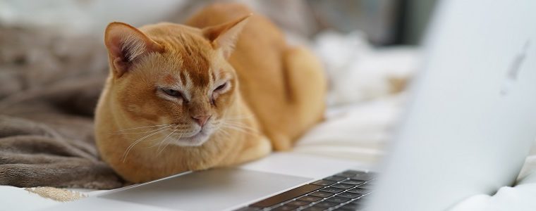 Tips for cancelling a broadband contract early