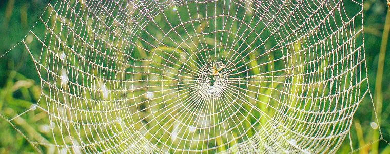 What is the World Wide Web?