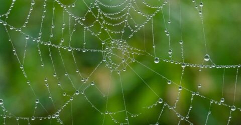 What are IP addresses, and how do they identify us?