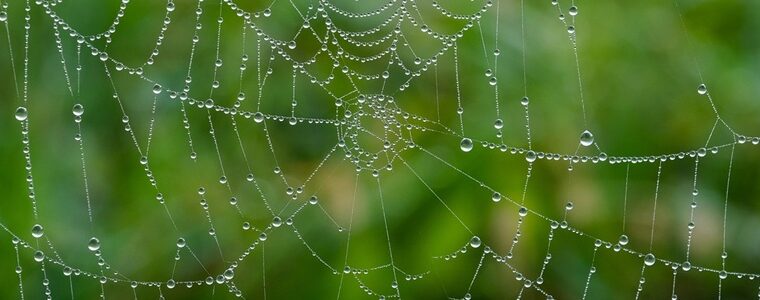 What are IP addresses, and how do they identify us?